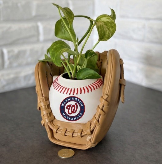 Baseball glove planter