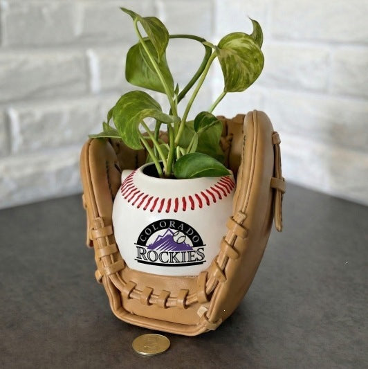 Baseball glove planter