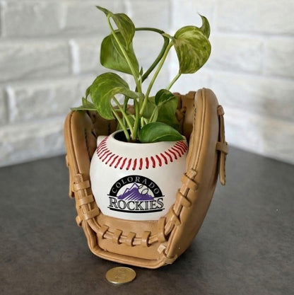 Baseball glove planter