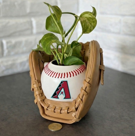 Baseball glove planter