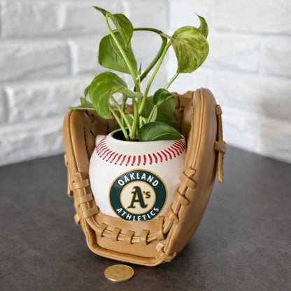 Baseball glove planter