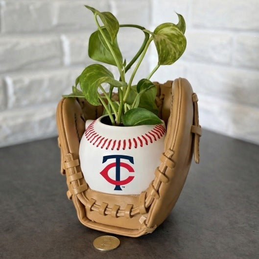 Baseball glove planter
