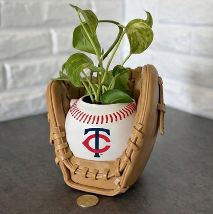 Baseball glove planter