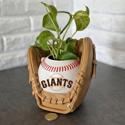 Baseball glove planter