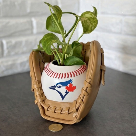 Baseball glove planter