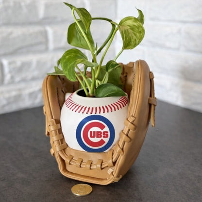 Baseball glove planter