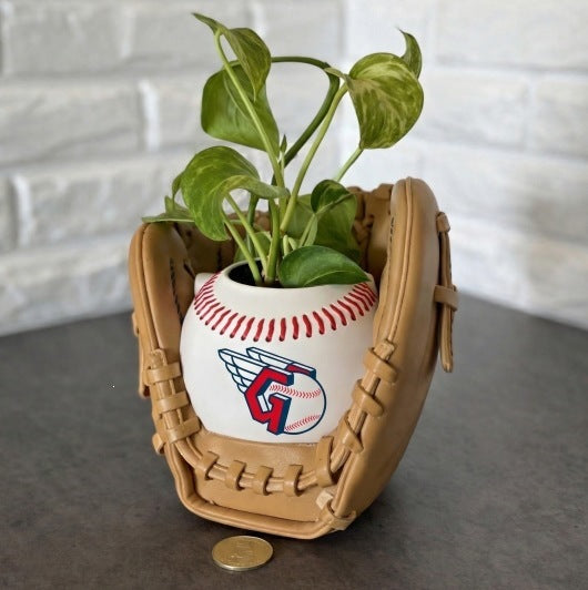 Baseball glove planter