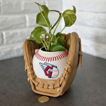 Baseball glove planter