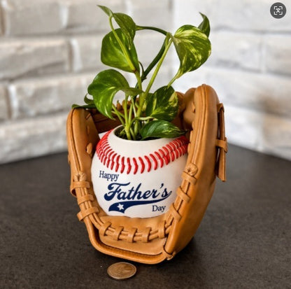 Baseball glove planter