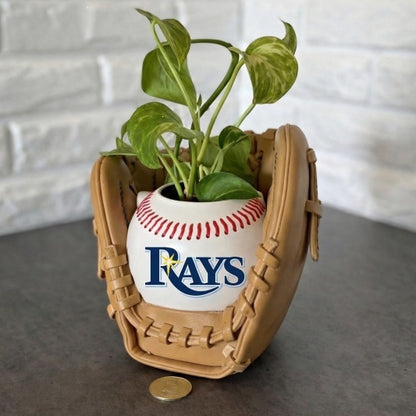 Baseball glove planter